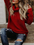 Knit Turtleneck Pullover Sweater